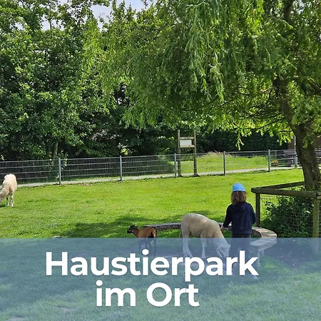 Oll Smee 9 Huus Mit Terrasse, Grill Und Kleinem Garten *
