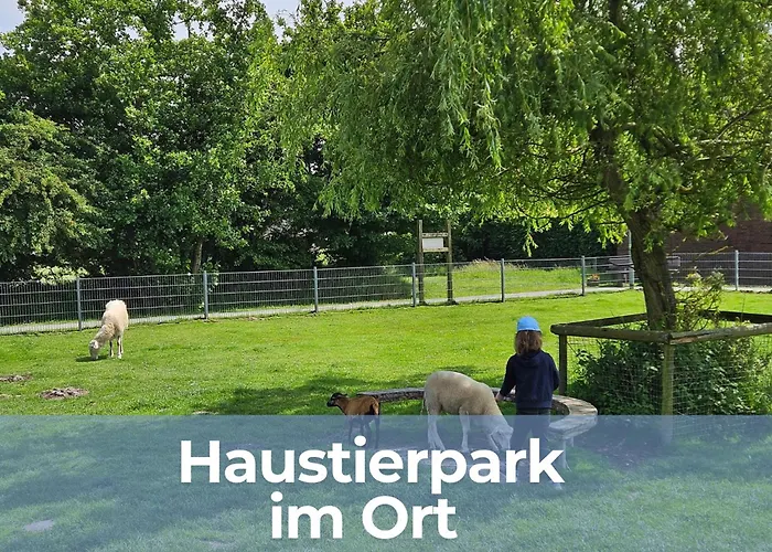 Oll Smee 9 Huus Mit Terrasse, Grill Und Kleinem Garten *